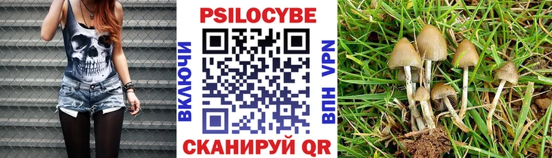 Галлюциногенные грибы мицелий Суоярви
