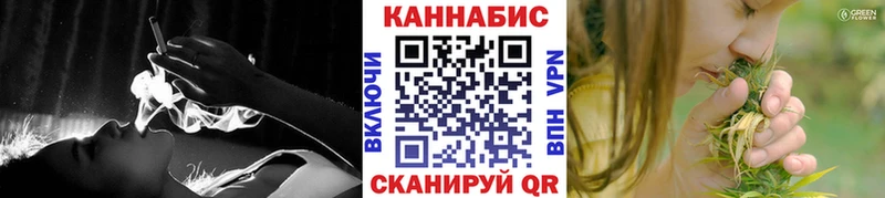 Купить закладки  Суоярви  Марихуана сатива 